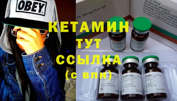 сатива Абинск