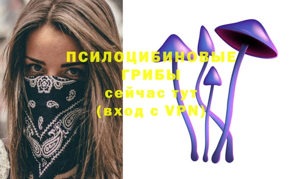 сатива Абинск