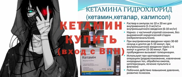 сатива Абинск