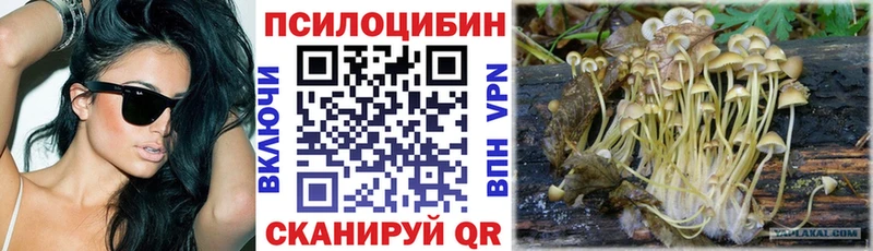 Галлюциногенные грибы мицелий Струнино